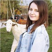 Clases particulares de refuerzo para Primaria y ESO (Social/Humanístico)